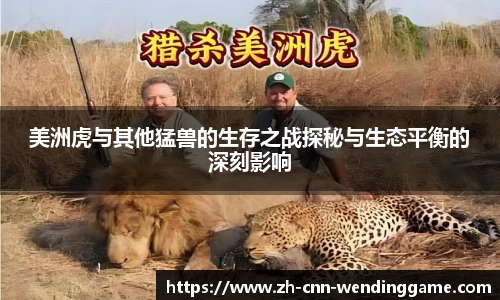 美洲虎与其他猛兽的生存之战探秘与生态平衡的深刻影响